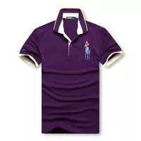 t-shirt hommes polo ralph lauren sport cotton 2013 high collar choi ma purple